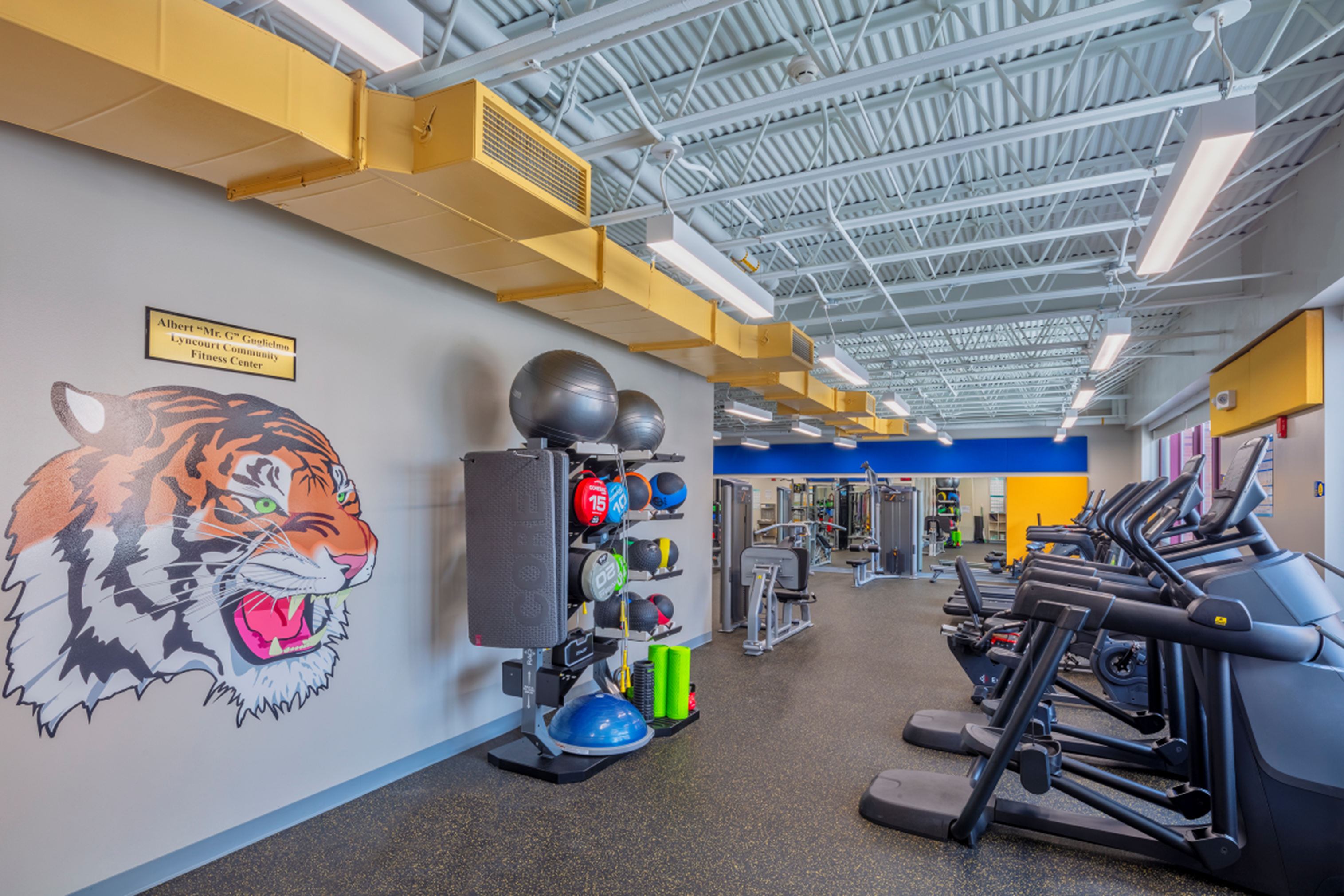 Picture of fitness center with tiger logo and equipment
