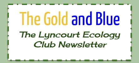 Ecology Club